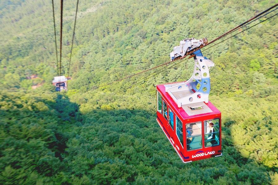 
                                                                                                        【釜項邱】漫步雲端天空步道、相生之手、前山觀景纜車、水族館5日
                                                                                                        