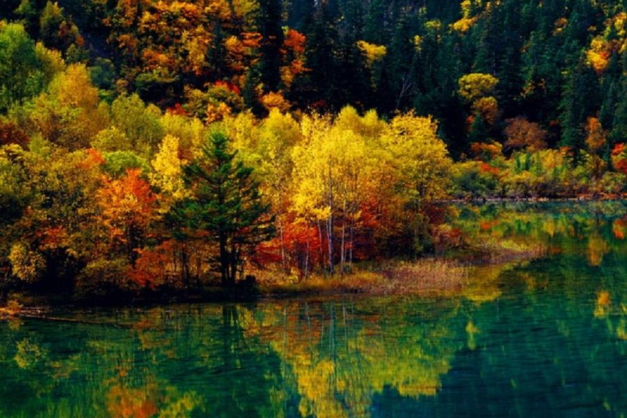 
                                                                                                        【秋瑟紅葉斑斕彩林】九寨溝、黃龍、畢棚溝、達古冰川、奶子溝、米亞羅八日
                                                                                                        