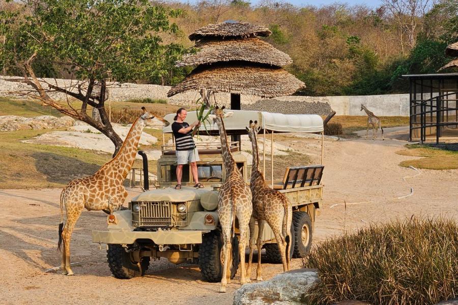 【馬上出發】長頸鹿吉普車、大城夜市、古蹟巡禮、曼谷最新侏儸紀公園 4日
