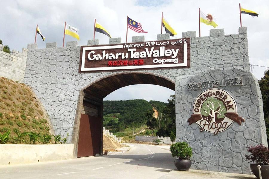 
                                                                                                        【檳城怡保美食文化遊】必吃米其林、古城打卡、茶園體驗、升旗山纜車5日
                                                                                                        