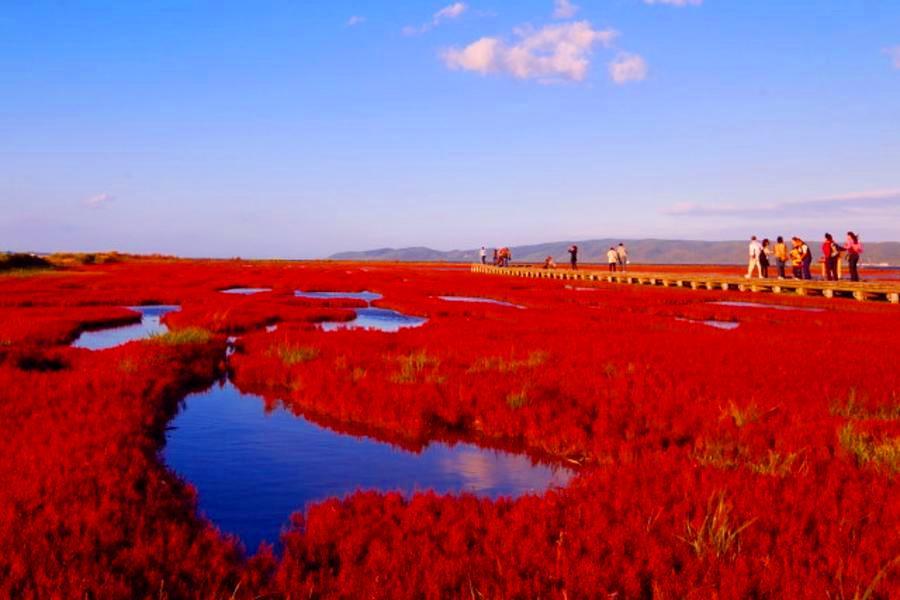 
                                                                                                        【精選北海道．道東摩周星空】阿寒遊船、紅色瑚礁草、 紅葉空中纜車5日
                                                                                                        