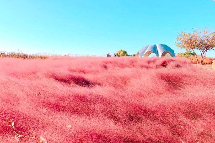 
                                                                                                        【秋漫首爾大學路】慶典大學路、採蘋果DIY、韓服遊古宮、天空公園4日
                                                                                                        