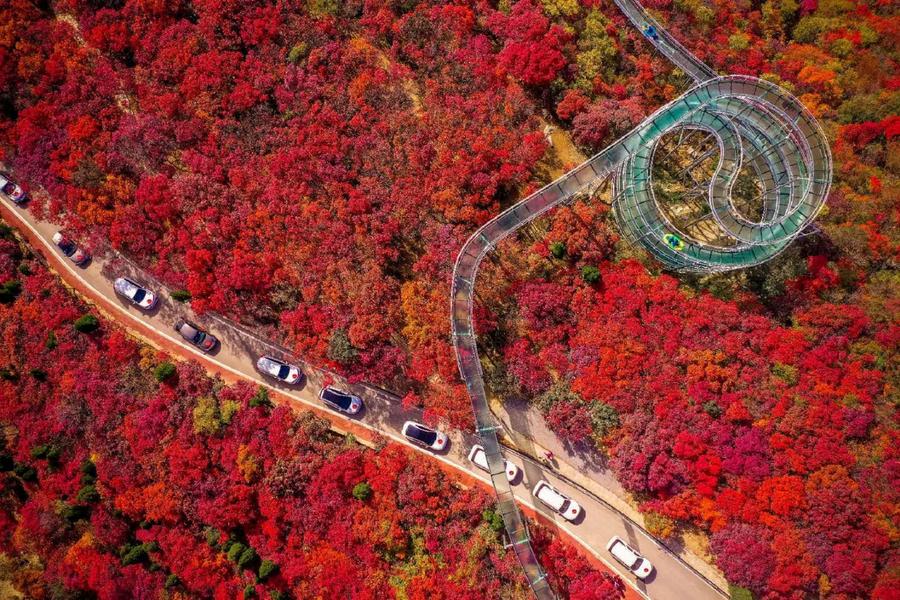 
                                                                                                        金秋山東賞楓品蟹、千年雙古城、青島航拍八日【升等青島美高梅酒店兩晚】
                                                                                                        