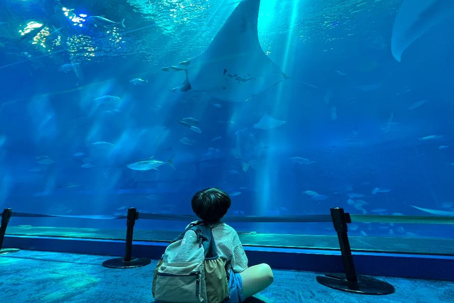 
                                                                                                        【悠遊沖繩】海洋博水族館、玉泉洞大鼓秀、古宇利塔、贈單軌電車券五日遊
                                                                                                        