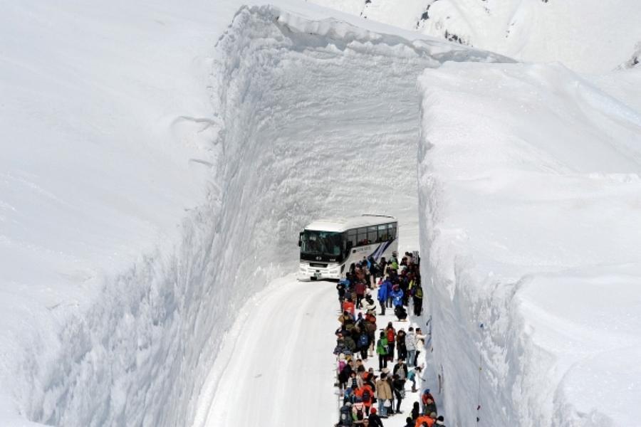 
                                                                                                        限時限量｜立山雪牆、富士粉蝶、潮來紫菖蒲～米其林景點、小江戶溫泉5日
                                                                                                        