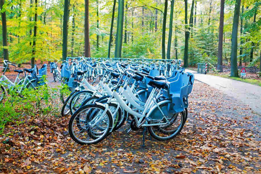 
                                                                                                        荷比法~梵谷森林、起司市集、鹿特丹、巴黎左岸10日
                                                                                                        