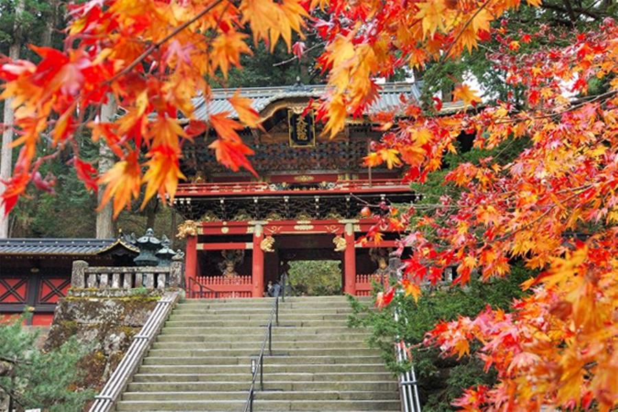 
                                                                                                        精選●秋楓東北●五星和牛溫泉～奧入瀨溪．十和田湖．藏王纜車．合掌村7日
                                                                                                        