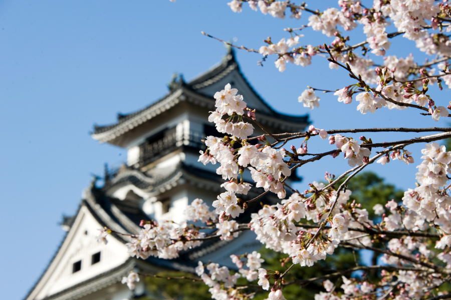 
                                                                                                        【花見全覽四國】百選溫泉兩晚．仁淀川．小豆島．讚岐烏龍麵６日
                                                                                                        