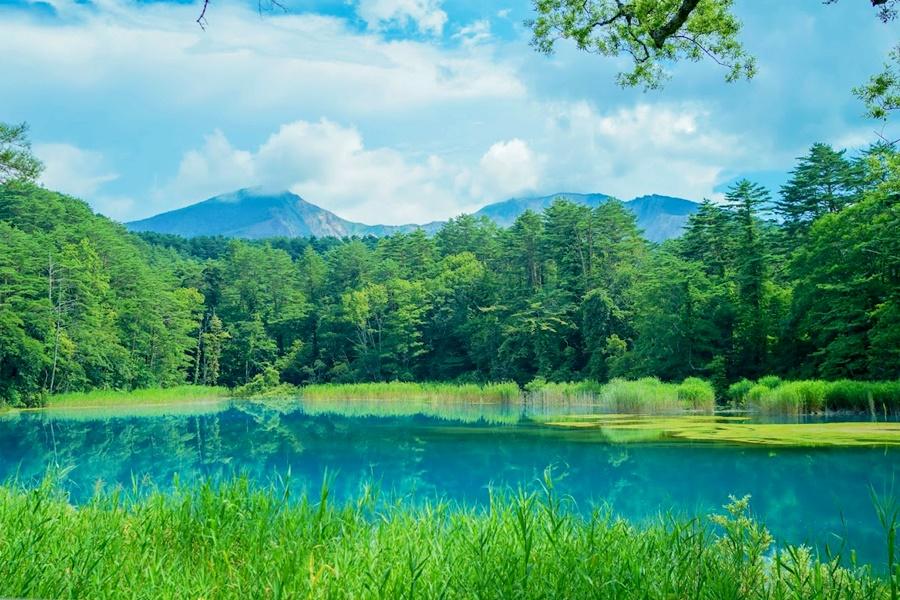 
                                                                                                        【限時限量東北】美幻五色沼、會津鐵道、大內宿米澤牛、松島新綠東北5日
                                                                                                        