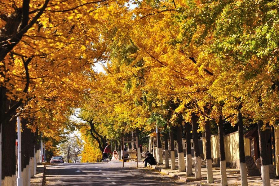 
                                                                                                        楓光登場山東、浪漫青島、煙台採果品酒、圍爐煮茶六日【涵碧樓酒店兩晚】
                                                                                                        
