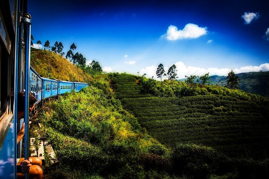 
                                                                        【泰錫蘭】斯里蘭卡野趣９天～ 漫遊雙列車、威爾帕圖追獵豹、巨岩宮殿
                                                                        