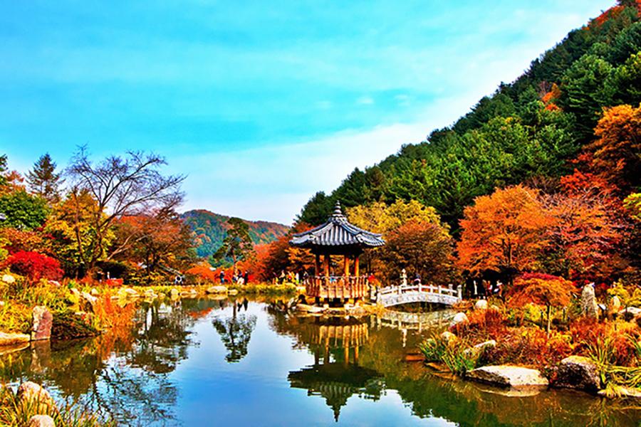 
                                                                                                        【銀賞秋楓】跑跑卡丁車、龍門山、景福宮、人蔘蜂蜜DIY、晨靜樹木園5日
                                                                                                        