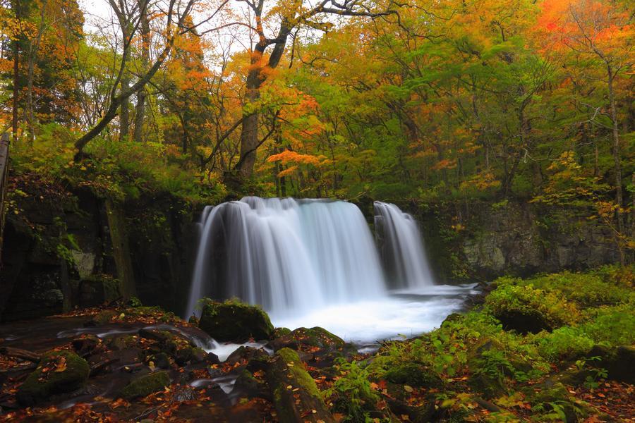 【精選東北】保住星野、楓情奧入瀨、秋意最上川、抱返角館、弘前紅仙青5日