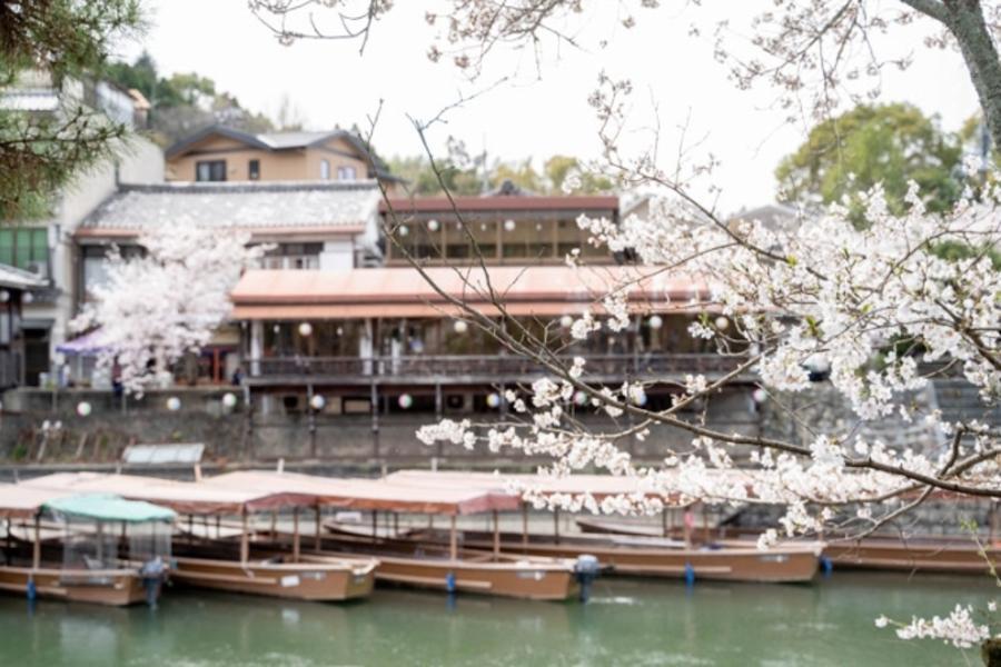 
                                                                                                        【櫻姿綻放】大阪宇治遊船奈良東大寺.京都二条城夜櫻.嵐山背割堤賞櫻6日
                                                                                                        