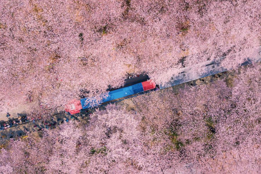 
                                                                                                        【鎮海粉紅櫻花祭】浪漫巨濟島海上花園、慶和火車站、蔚藍海岸網美咖啡5日
                                                                                                        