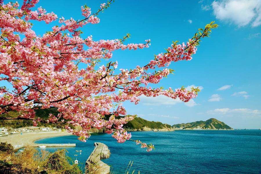 
                                                                        限時限量●九州梅櫻雙賞│河津櫻・夢吊橋湯布院・兩晚溫泉5日
                                                                        