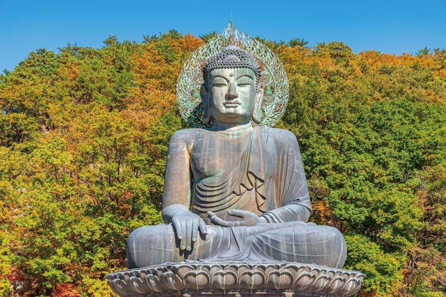 
                                                                                                        【鏡花雪嶽】BTS公車站、海岸鐵道自行車、南怡島、鏡浦台5日-CI早早
                                                                                                        