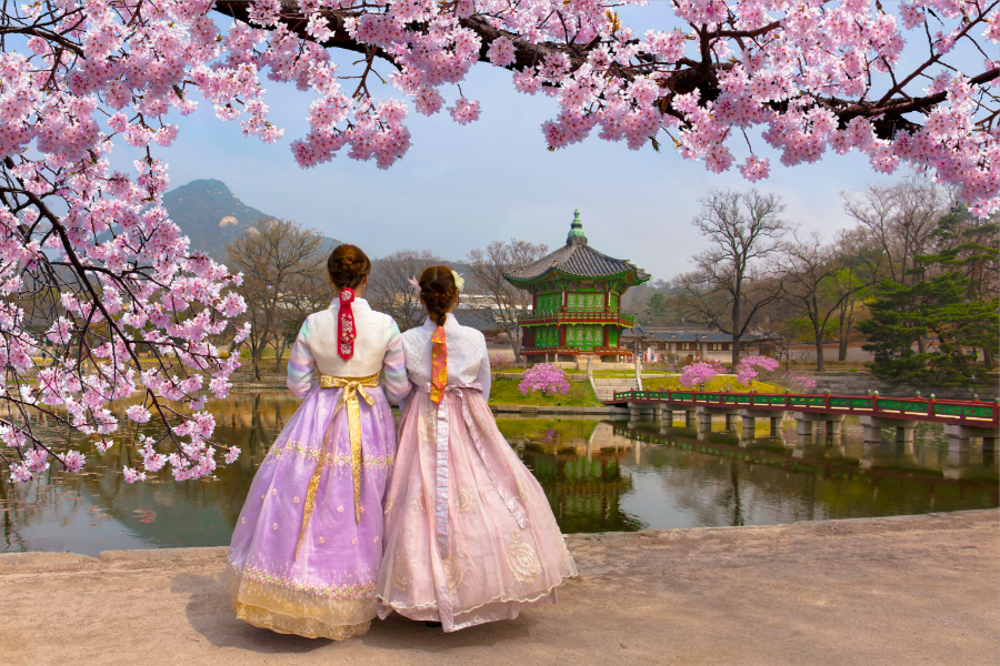 
                                                                                                        【賞櫻限時搶購】變妝景福宮.汝矣島櫻花大道.義王鐵道.不進保肝5日
                                                                                                        