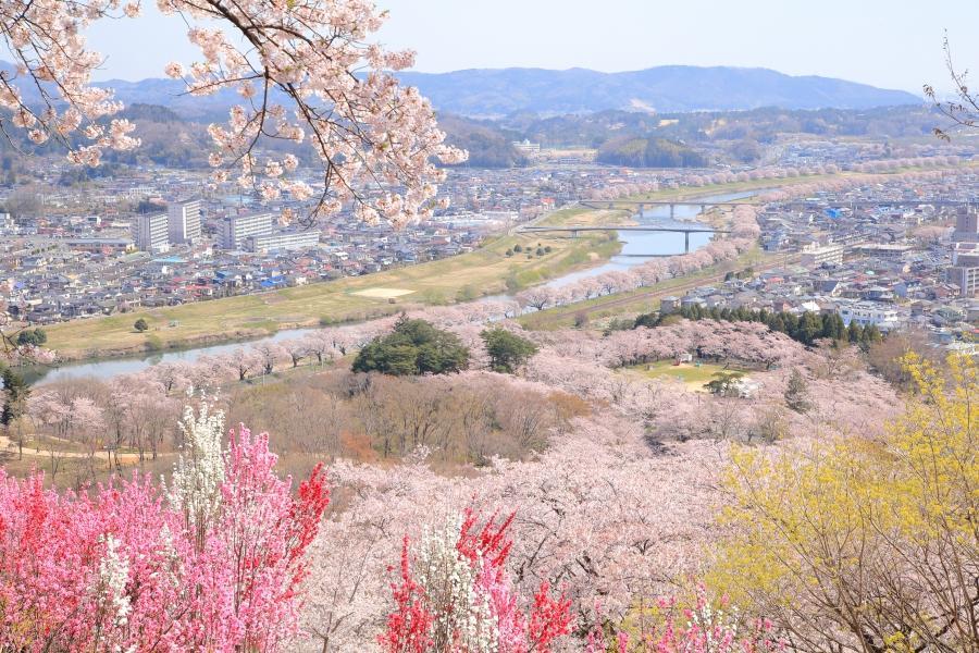 
                                                                        【仙台春趣】三春瀧櫻、太良山纜車、松島船、吃牡蠣、地下宮殿、溫泉5日
                                                                        