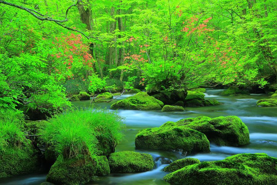 
                                                                                                        限時限量、青森仙台｜奧入瀨溪流、香濃小岩井、飛天郭公丸、新綠東北 5日
                                                                                                        