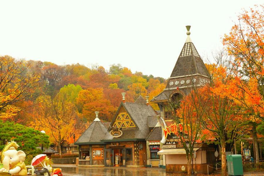 
                                                                                                        【首爾無購物】秋海棠鳥園、仙境繡球花、鐵道自行車、特麗愛3D藝術5日
                                                                                                        
