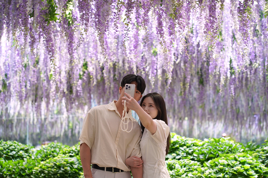 
                                                                                                        【花滿韓國】小法國村＋義大利小鎮、海棠鳥園、蘋果派DIY+滑道體驗5日
                                                                                                        