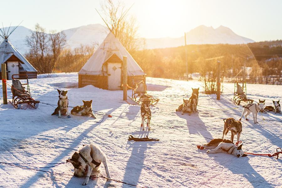 
                                                                                                        【魅力歐洲】璀璨北歐、夢幻極光、極光星空特快車、破冰船典藏12天
                                                                                                        
