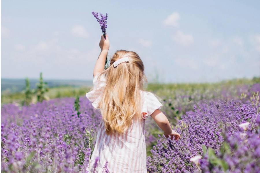 
                                                                                                        【花語薰衣草】懷西基島.庫克山健行.薰衣草園.米佛峽灣.紐西蘭10日
                                                                                                        