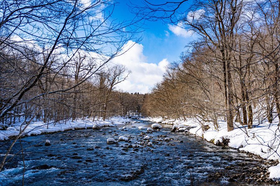 
                                                                                                        【限時限量】冬遊三景松島、小坂康樂館、手烤魚板、採果和服、東北青仙5日
                                                                                                        