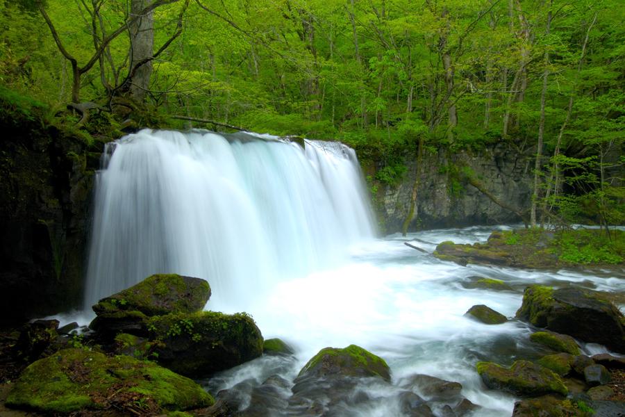 
                                                                                                        限量雙城東北｜奧入瀨清溪、銀山老街、秘境只見線、三不猿猴、仙台東京七日
                                                                                                        