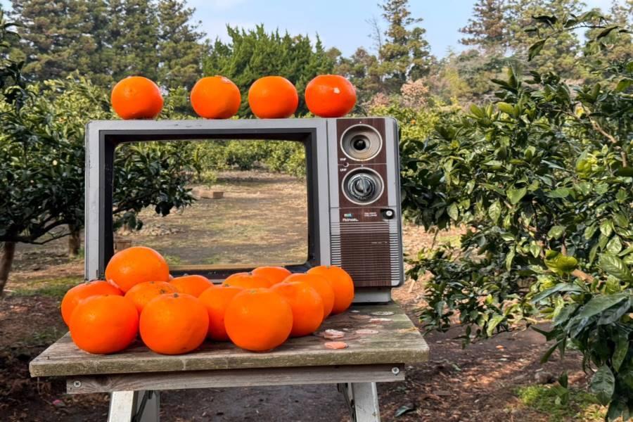 
                                                                                                        【保住五星飯店】濟州採橘體驗.泰迪熊吉卜力.漢拏山高地.城山日出峰5日
                                                                                                        