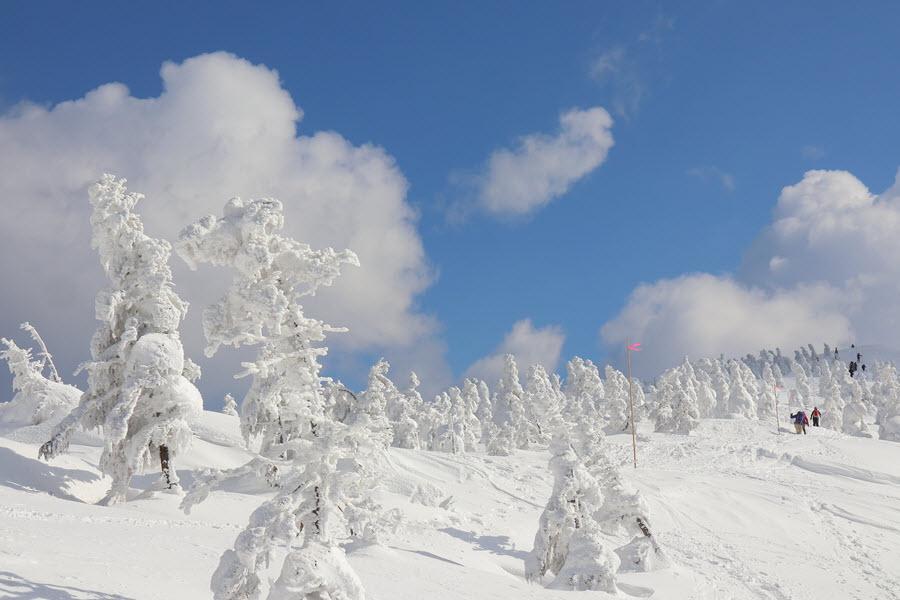 
                                                                                                        限時限量森吉山樹冰｜銀山溫泉、季節採果、吃米澤牛、體驗幸福青森仙台6日
                                                                                                        