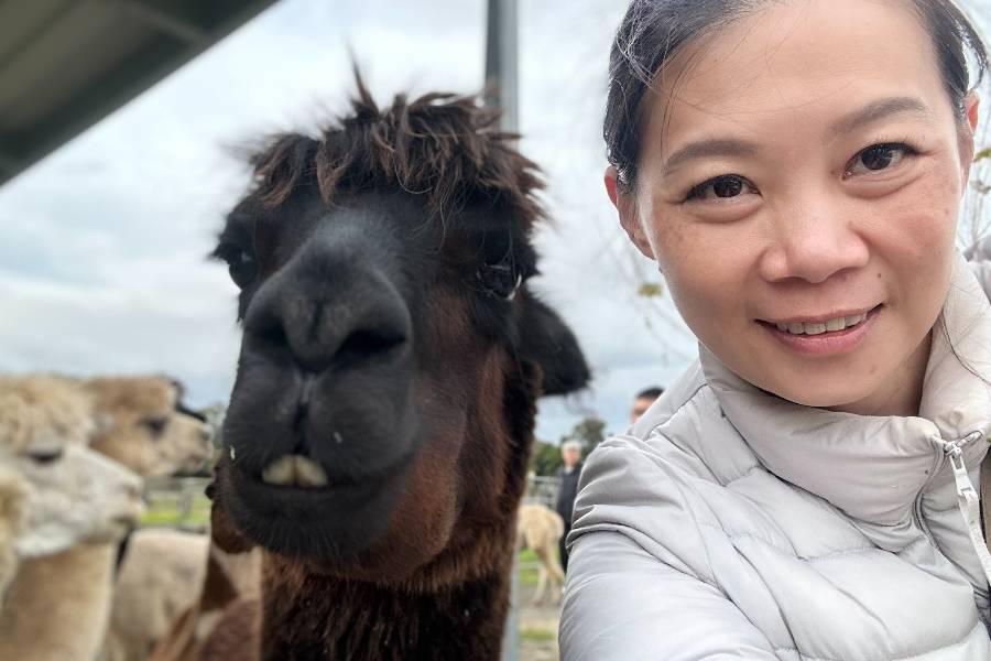 
                                                                        【澳洲野性黃金雪】歌劇院.獵人谷.羊駝牧場.澳式農莊.雨林天空步道9日
                                                                        