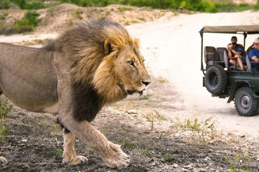 
                                                                                                        【金馬南非】開普敦.約堡.克魯格.太陽城皇宮.荷蘭式莊園.尋寶趣10日
                                                                                                        