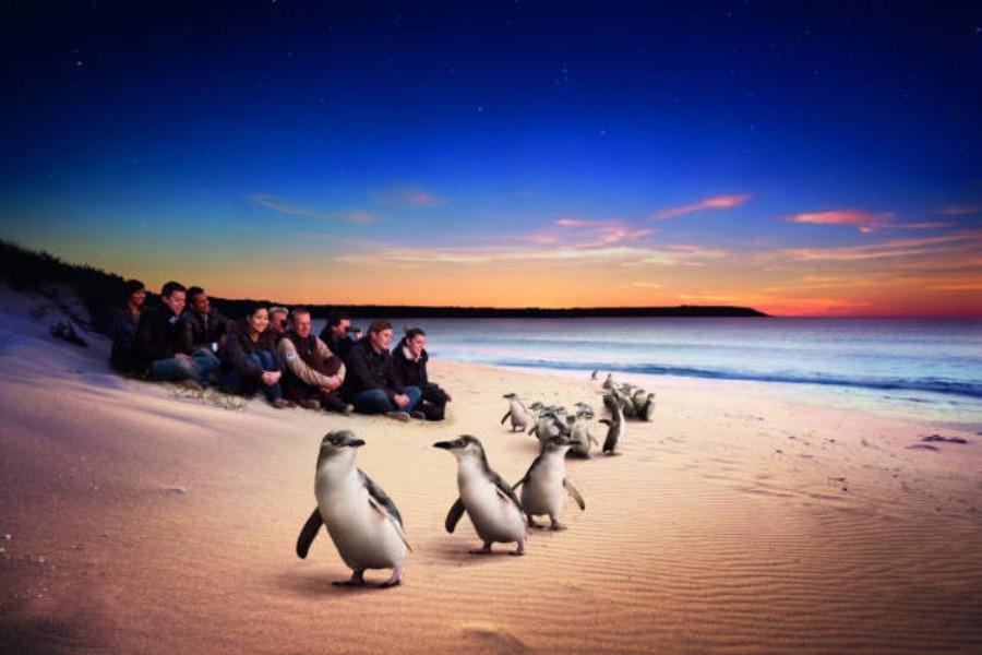 
                                                                        【三月季春CHILL銷】雪梨.黃金海岸.墨爾本東澳三城全覽一把抓9日
                                                                        