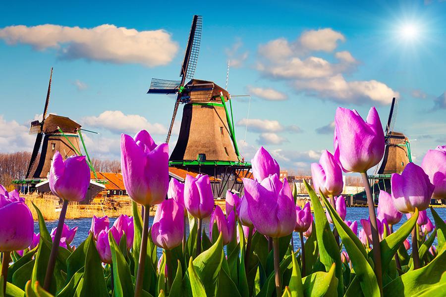 
                                                                                                        【花季超值】法比荷｜庫肯霍夫花園、羊角村三遊船、羅浮宮、折扣村10日
                                                                                                        