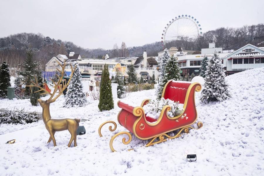 
                                                                                                        【二晚五星】愛寶樂園.華蓋單軌列車.手作水果大福.藍絲帶推薦美食5日
                                                                                                        