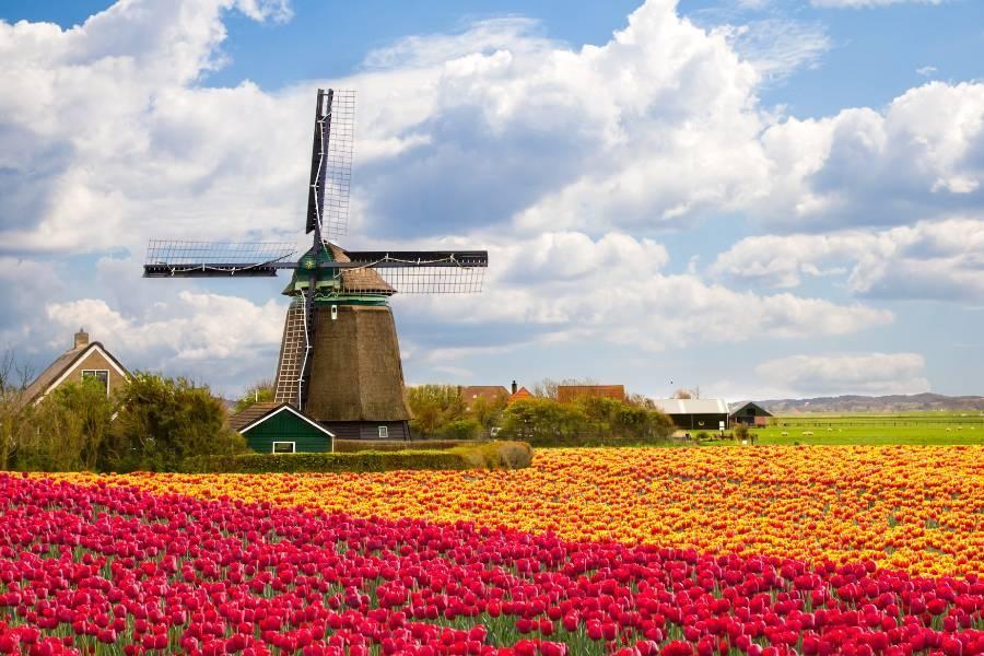 
                                                                                                        【花季超值】荷比法｜庫肯霍夫花園、羊角村三遊船、凡爾賽宮、布魯日10日
                                                                                                        