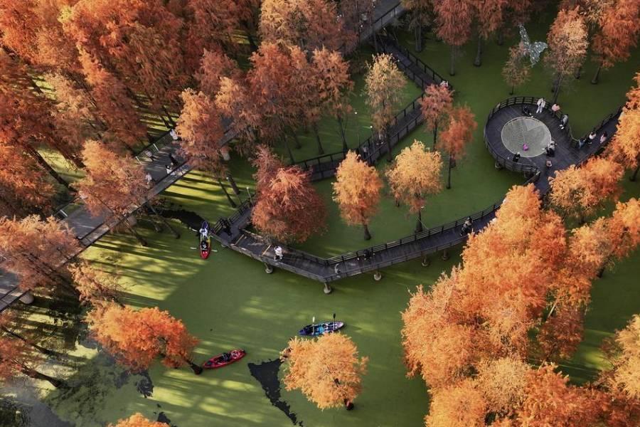 
                                                                                                        松山機場【水韵江南】杭州青山湖水上森林、濮院時尚古鎮、西塘VOCO酒店
                                                                                                        