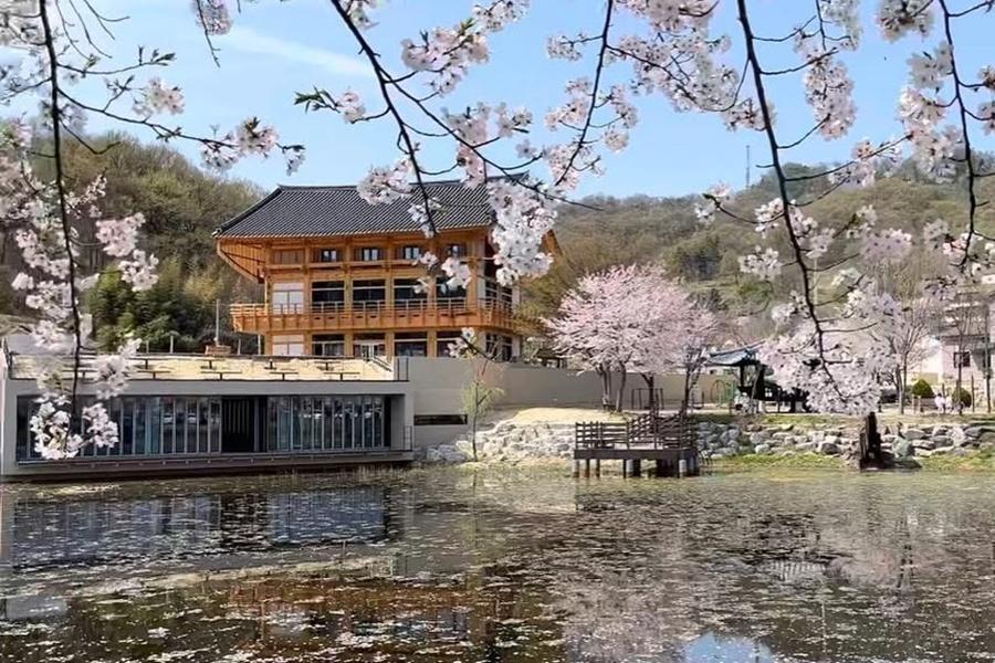 
                                                                                                        【韓國雙城櫻花戀】愛寶四季花園.櫻花韓屋咖啡.鐵道自行車.韓服體驗5日
                                                                                                        