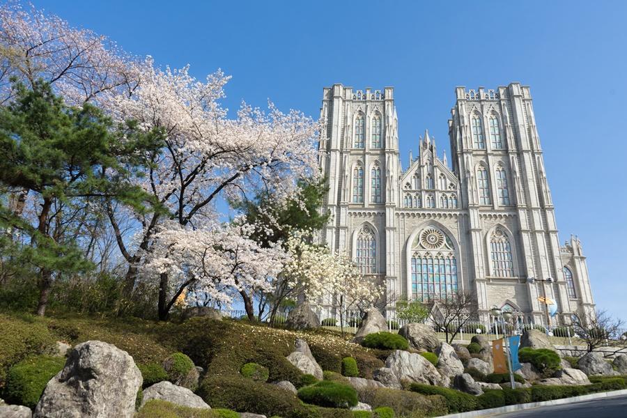 
                                                                        【櫻飛韓國】華蓋庭園、白樺樹林、愛寶、昌慶宮、慶熙大學、櫻花大道5日
                                                                        