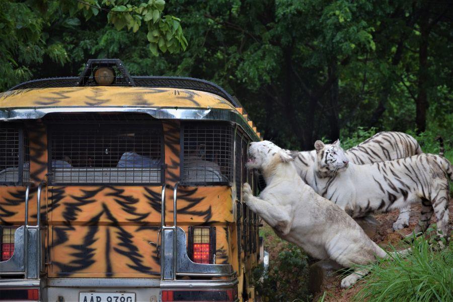 
                                                                                                        【長榮】克拉克.蘇比克.馬尼拉豪華5日
                                                                                                        