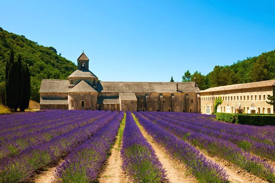【南法花季】普羅旺斯薰衣草．卡爾卡頌城堡．TGV．米其林饗宴10日