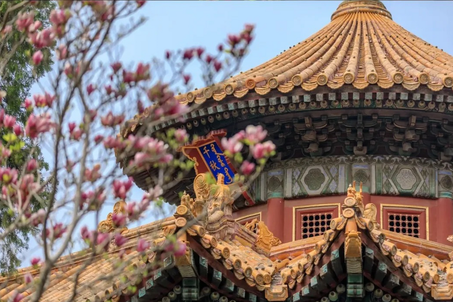 
                                                                                                        【搭乘高鐵穿越千年雙帝都】北京皇城春景、西安古都花事、古宴大秦小宴八日
                                                                                                        