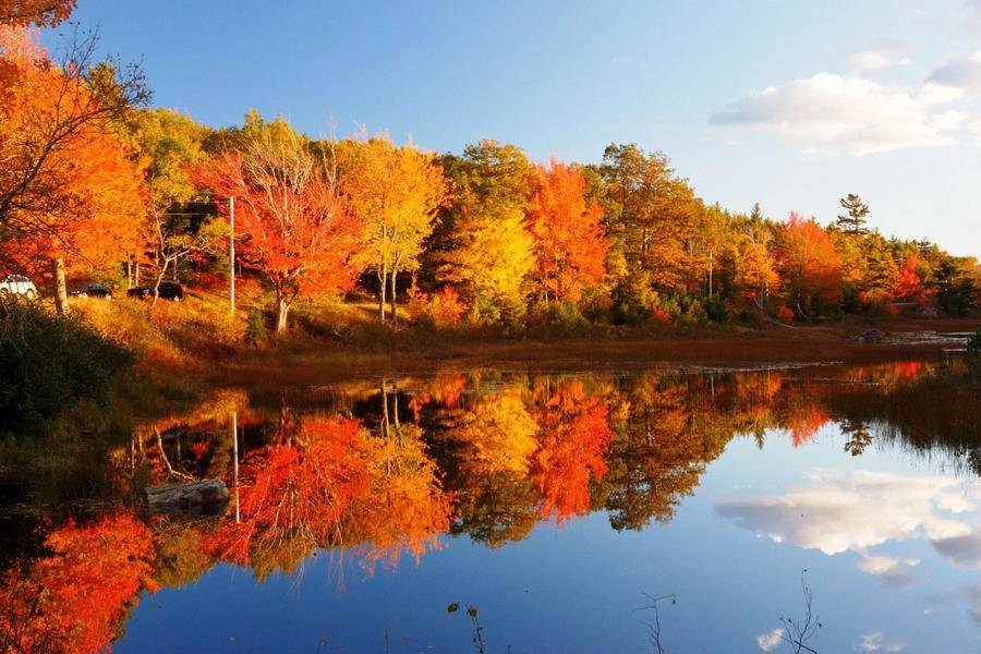 
                                                                                                                        【楓情美加東】藍寶石公主～魁北克雙城戀曲16日(團體)
                                                                                                                        