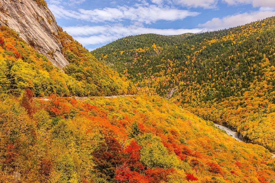 
                                                                                                                        【楓情美加東】藍寶石公主～楓紅華章典藏15日
                                                                                                                        