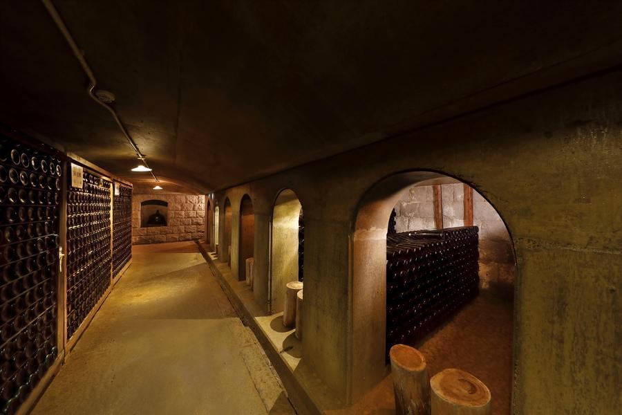 
                                                                        【日本微醺之旅系列】把北九州喝成一首詩｜酒香溫泉藝術・療癒慢飲 5 日
                                                                        