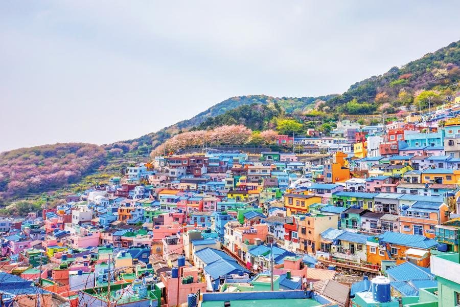 
                                                                        台中出發【經典五星級金海樂天】LUGE斜坡滑車、甘川洞、海女文化村六日
                                                                        