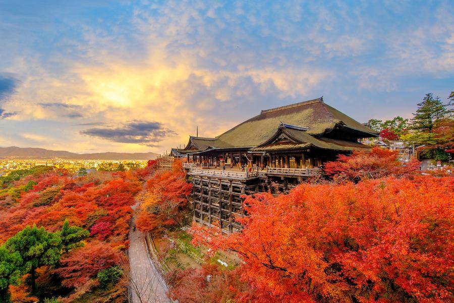 
                                                                        【經典關西之賞楓九景】世界遺產、清水嵐山、達磨古寺、萬博公園、保住大倉
                                                                        