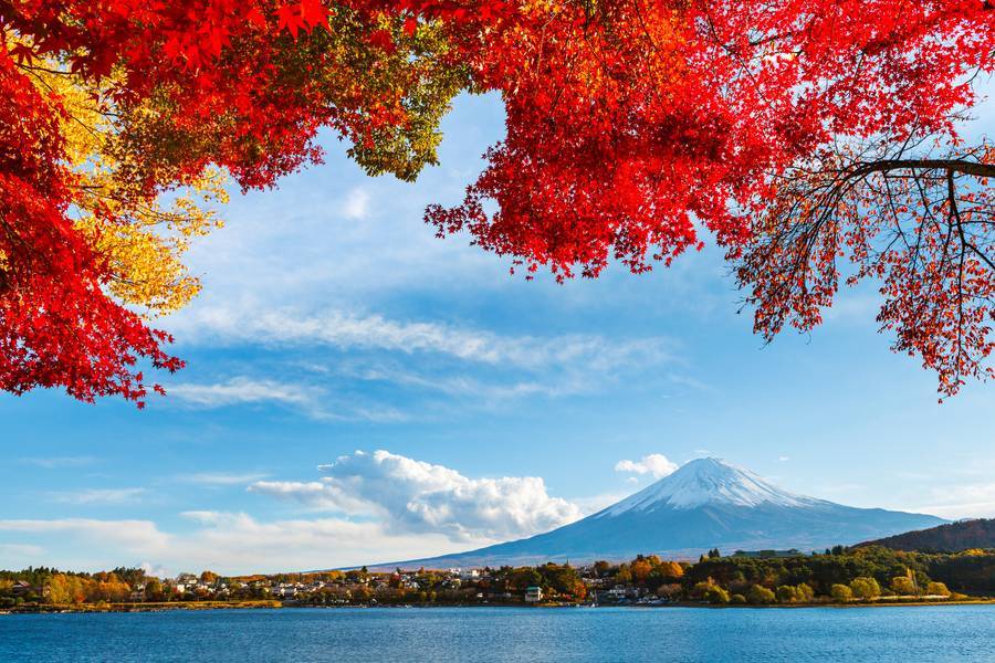 
                                                                        【富士秋童話】音樂之森、紅葉廊、新倉山、御殿場、昭和銀杏、螃蟹溫泉6日
                                                                        